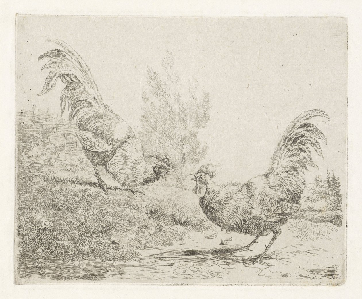 Two Fighting Roosters by Albertus Verhoesen