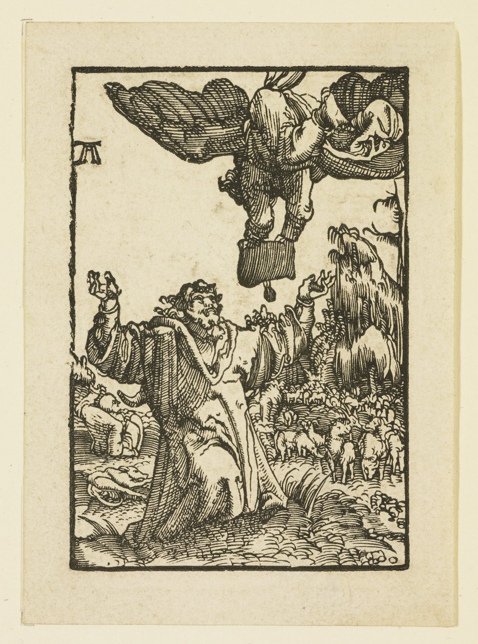 Angel Appearing to Joachim by Albrecht Altdorfer