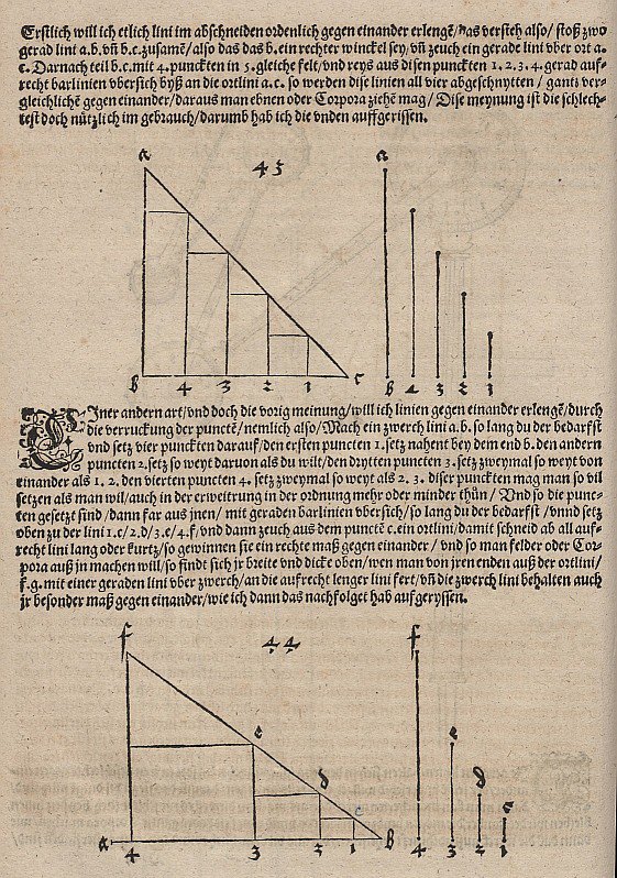 Graphical Representation of a Linear Function and an Exponential Function by Albrecht Dürer