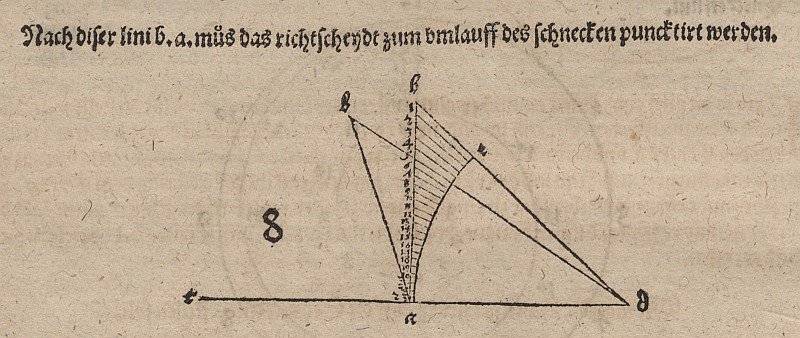 Tangent Spiral and Related by Albrecht Dürer