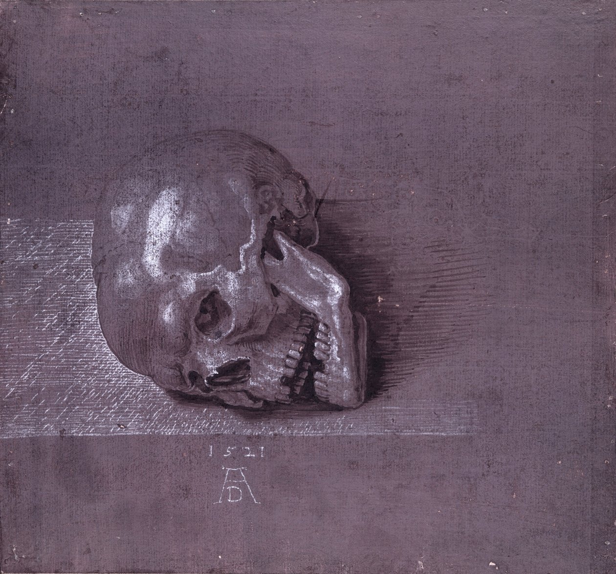 Study of a human skull, 1521 by Albrecht Dürer