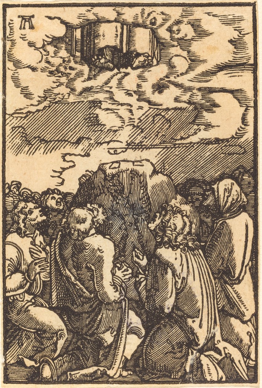 Christ's Ascension by Albrecht Altdorfer: Fine art print