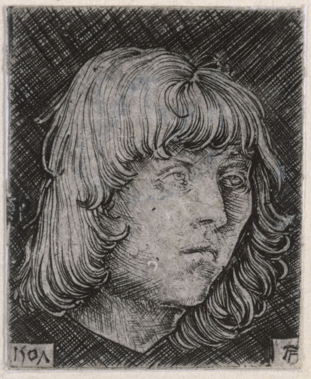 Head of a Young Man by Albrecht Altdorfer