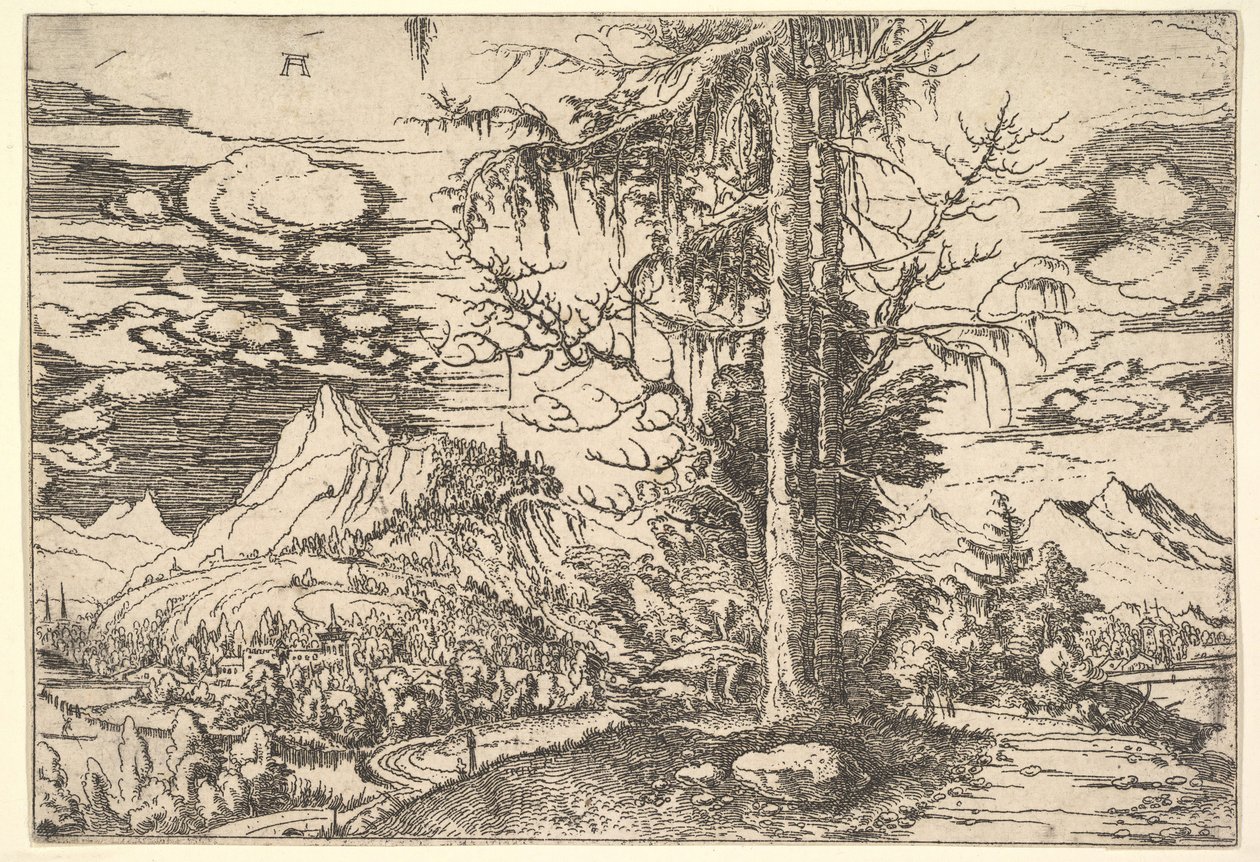 Landscape with a Double Spruce by Albrecht Altdorfer