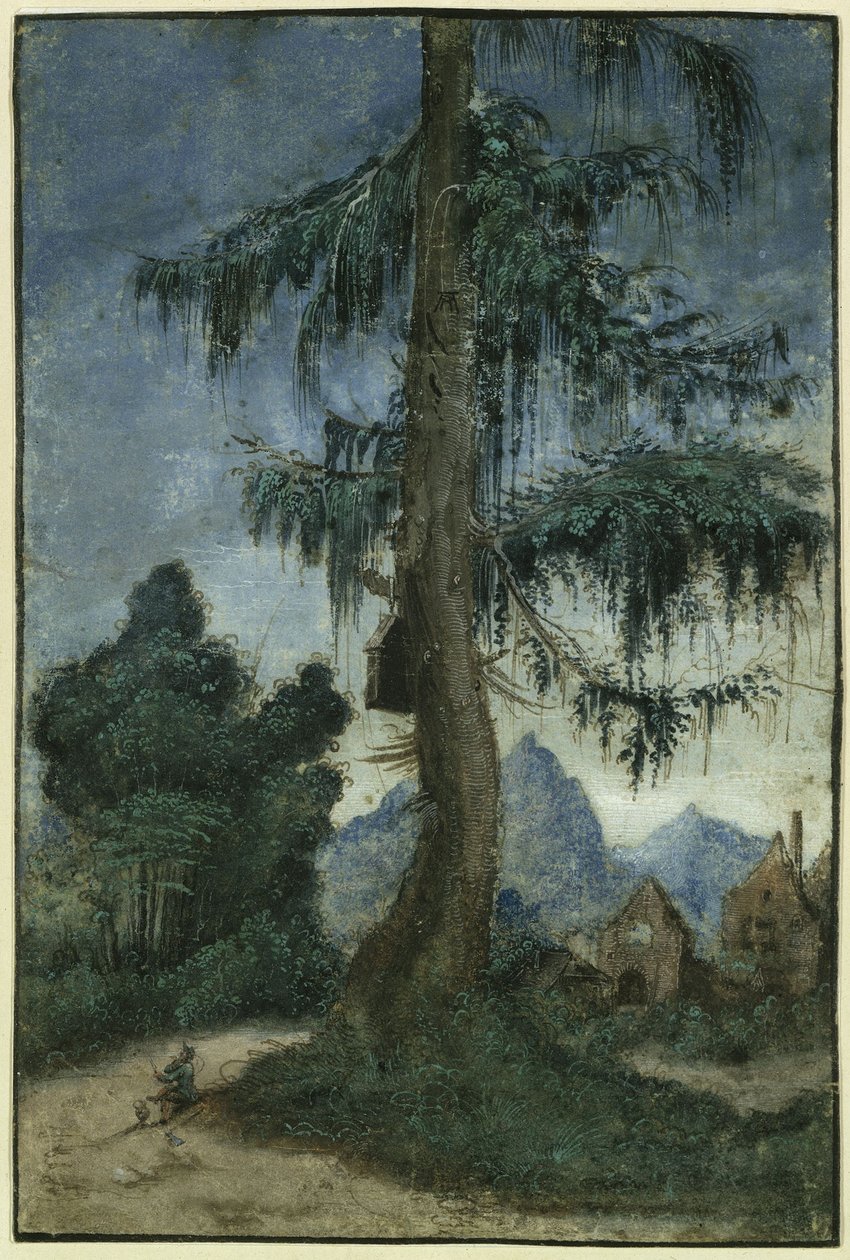 Landscape with Spruce by Albrecht Altdorfer