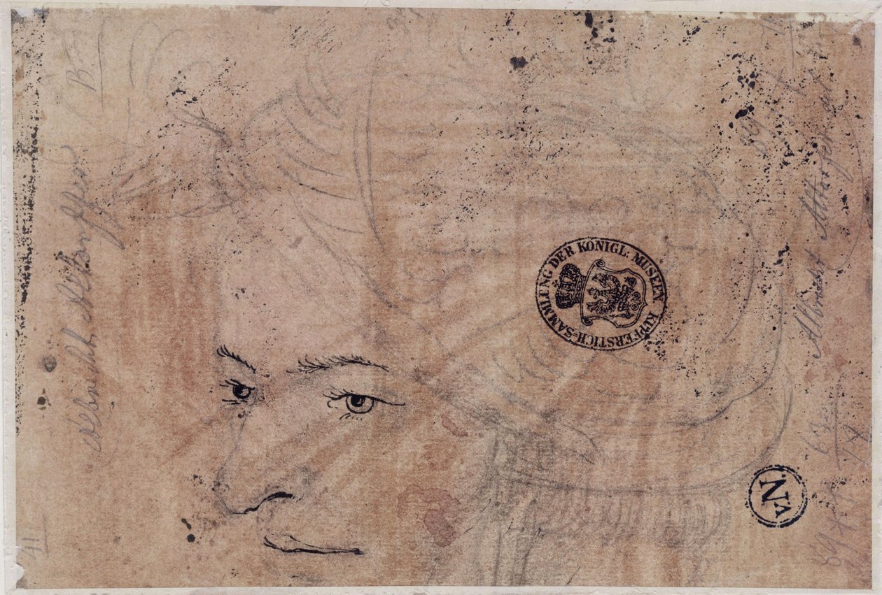 Portrait Sketch of a Young Man with Cap by Albrecht Altdorfer