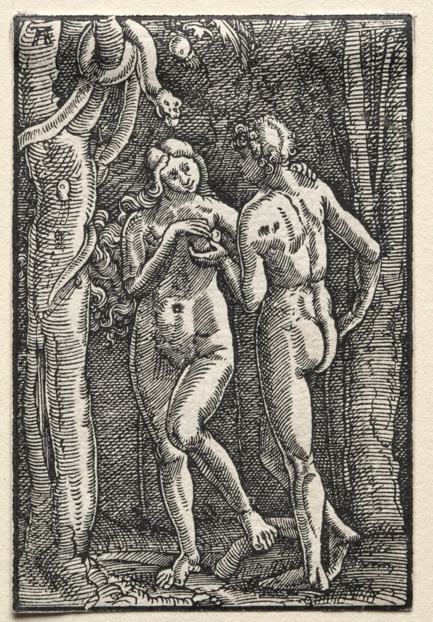 The Fall and Redemption of Man: Adam and Eve Eating the Forbidden Fruit by Albrecht Altdorfer