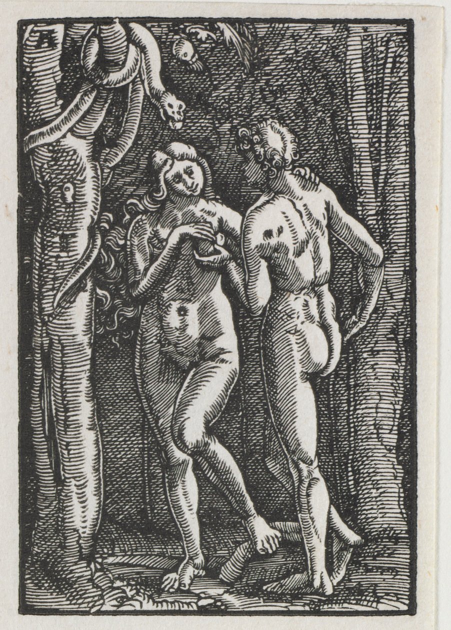 The Fall and Redemption of Man: Adam and Eve Eating the Forbidden Fruit by Albrecht Altdorfer