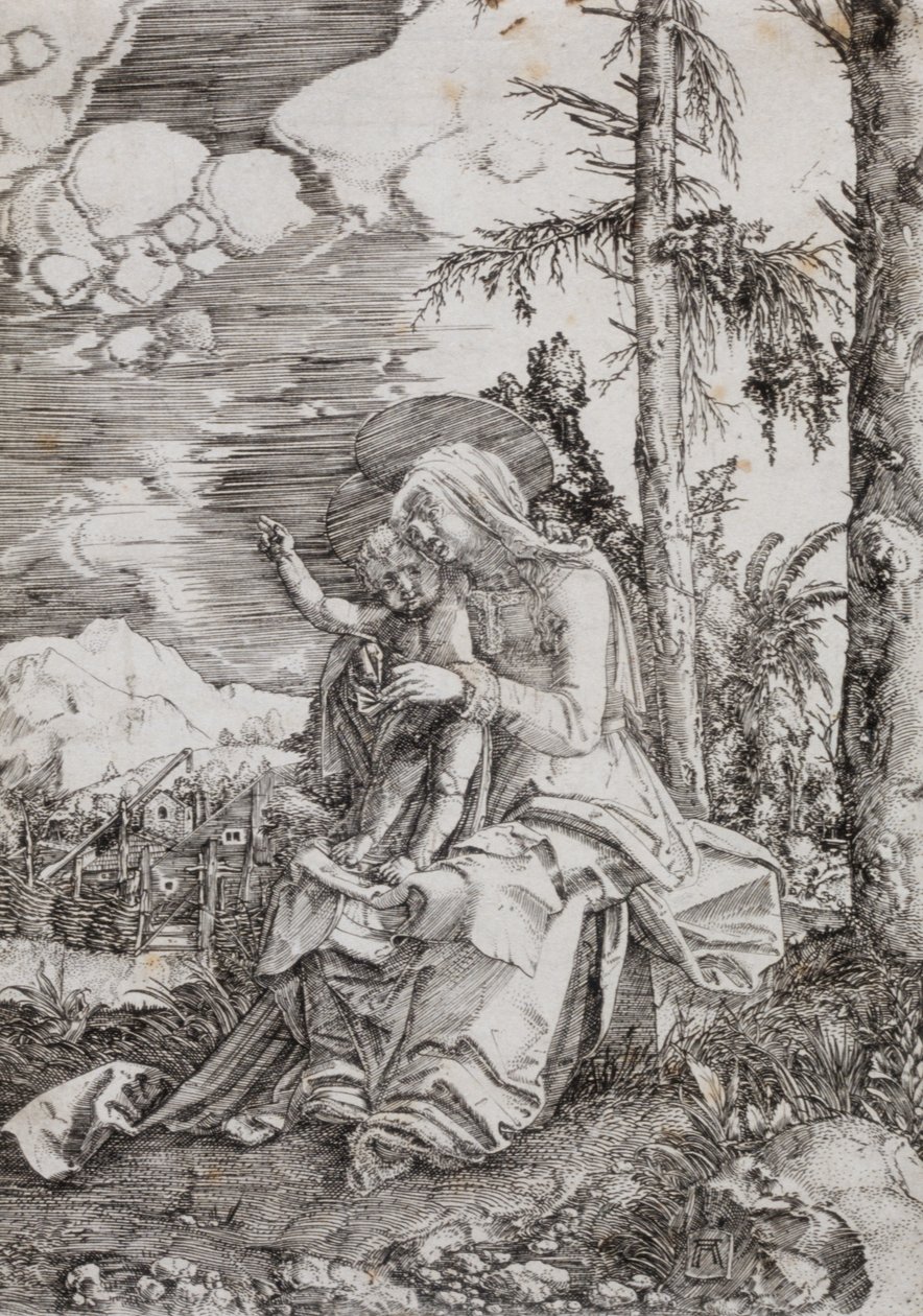 Virgin and Child in a Landscape by Albrecht Altdorfer