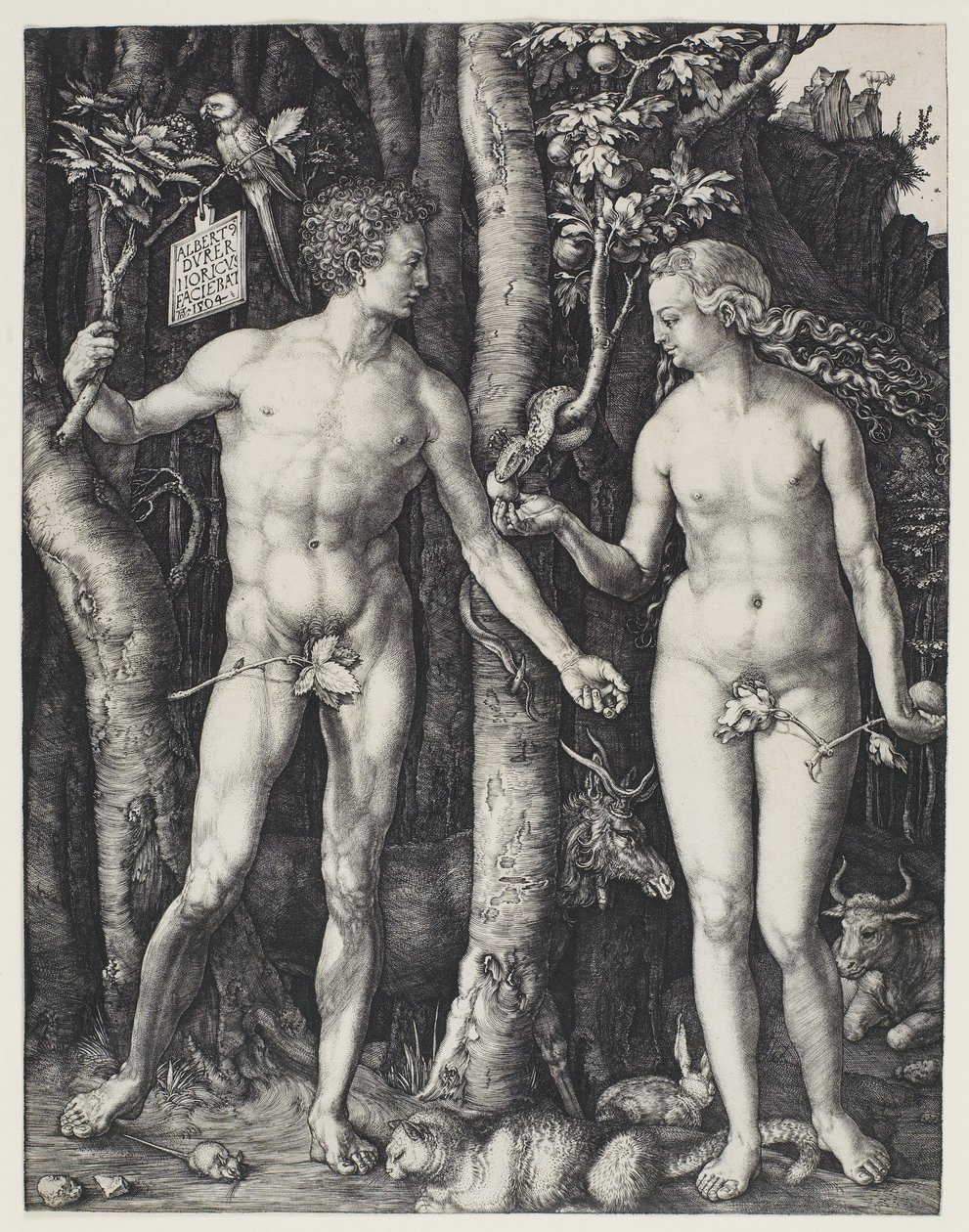 Adam and Eve by Albrecht Dürer