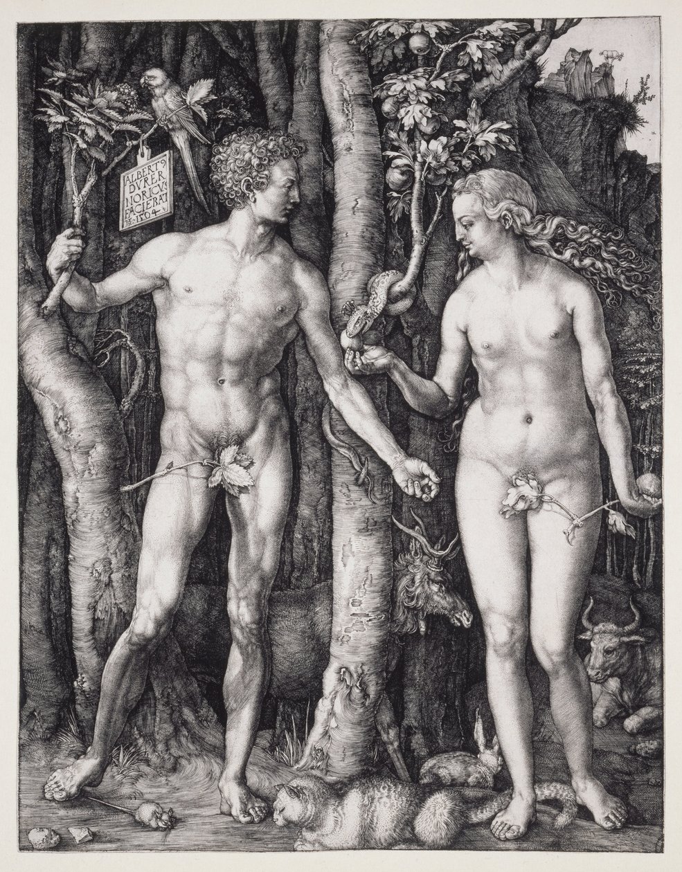 Adam and Eve by Albrecht Dürer