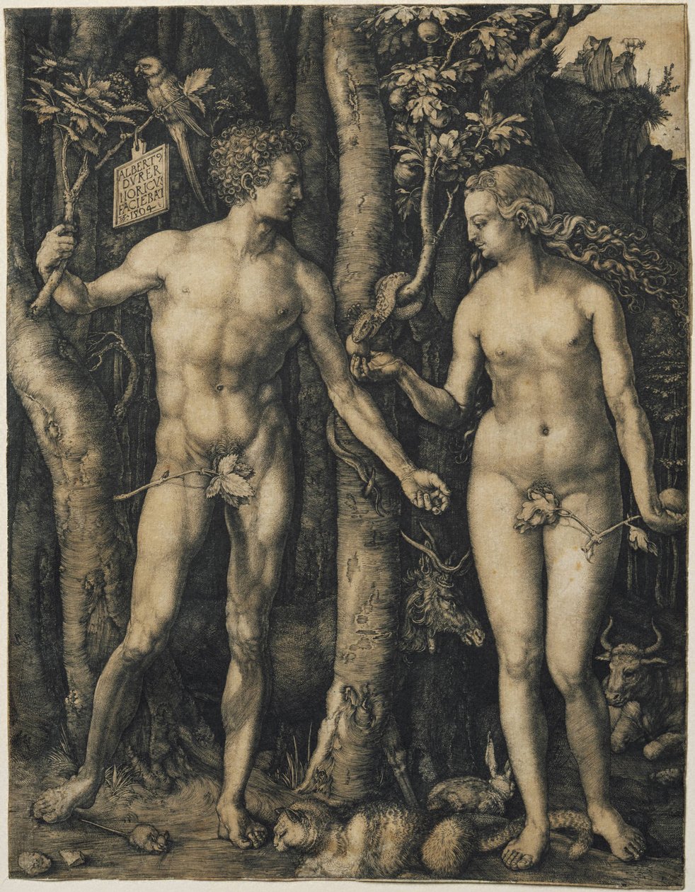 Adam and Eve by Albrecht Dürer