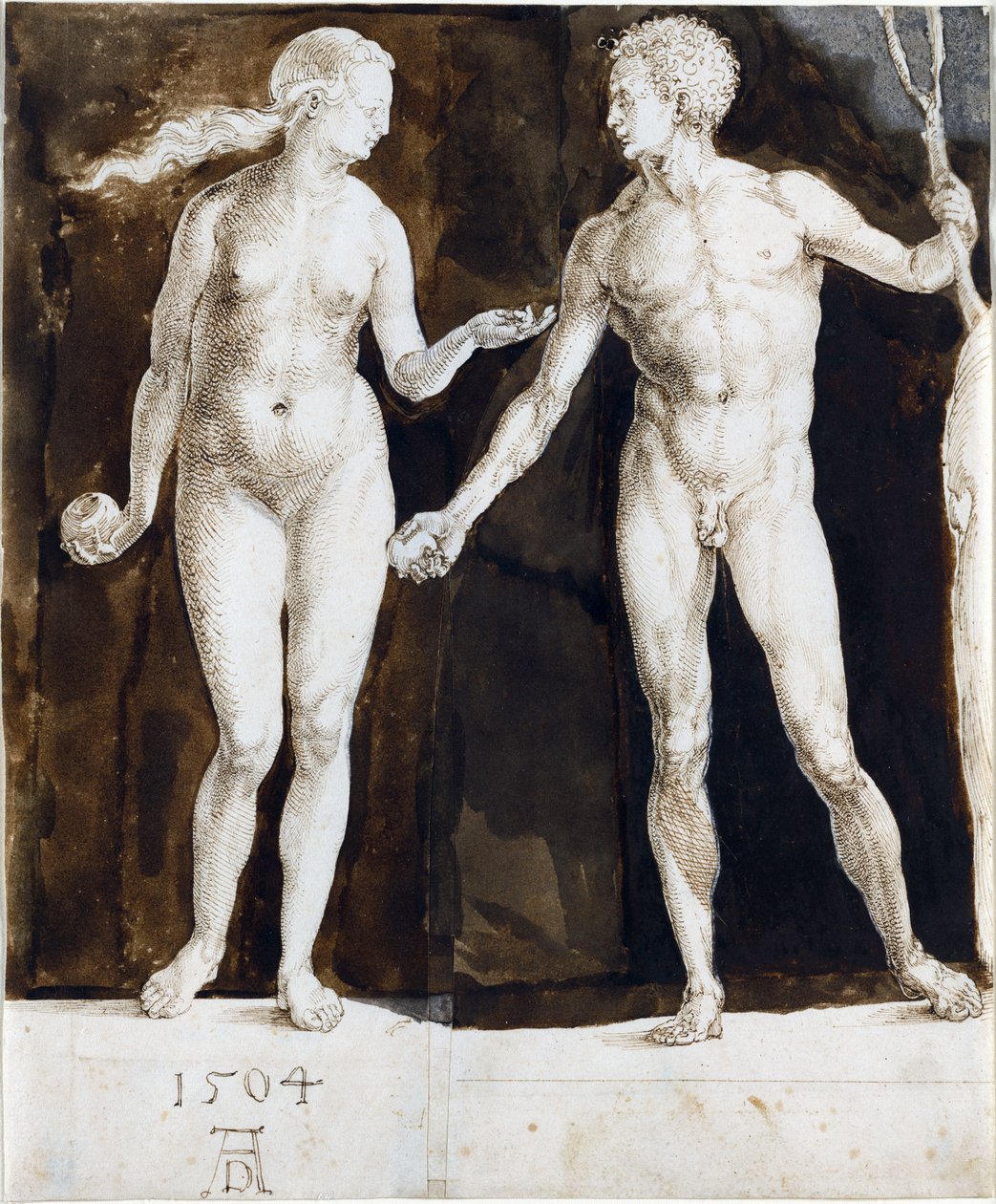 Adam and Eve by Albrecht Dürer