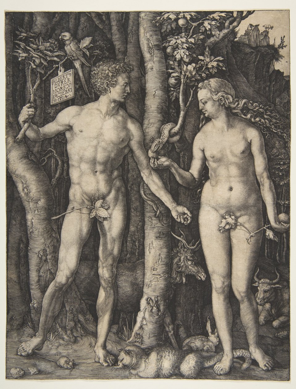 Adam and Eve by Albrecht Dürer