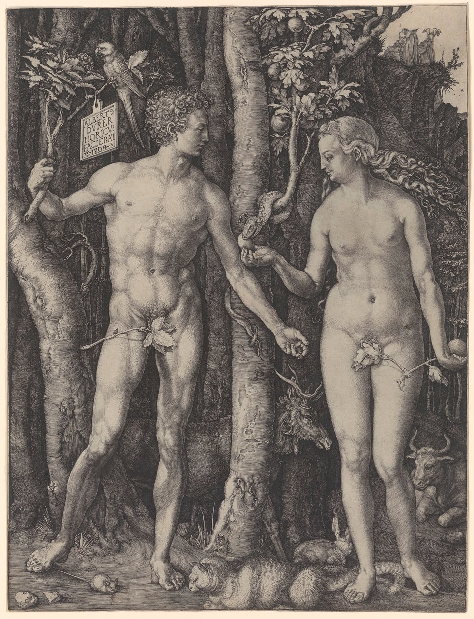 Adam and Eve by Albrecht Dürer