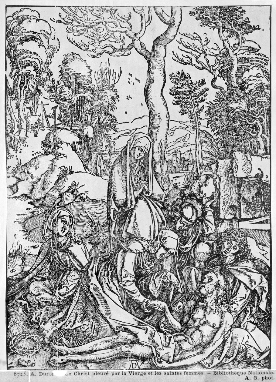 Christ mourned by the Virgin and the female Saints, from 