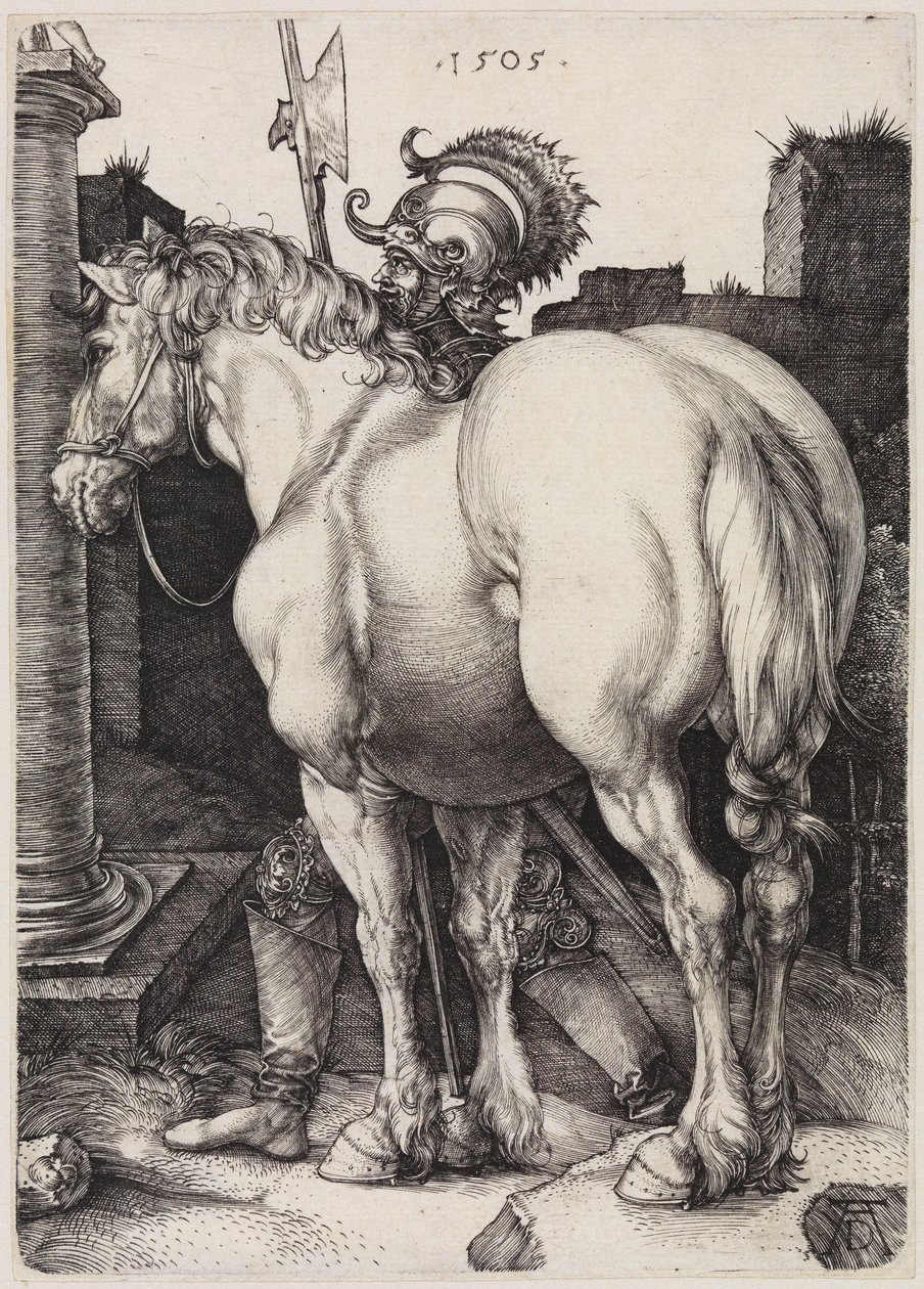 The Great Horse by Albrecht Dürer