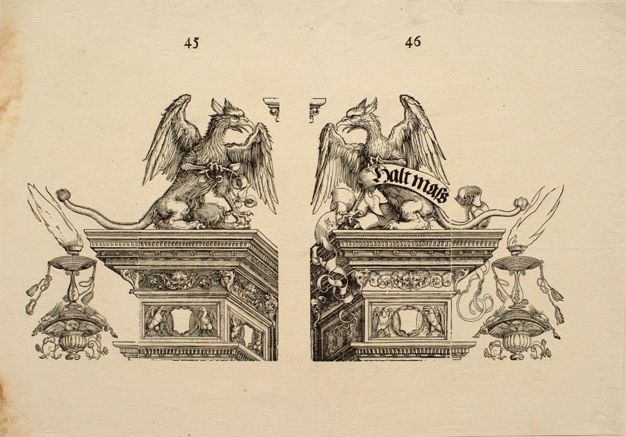 Detail by Albrecht Dürer