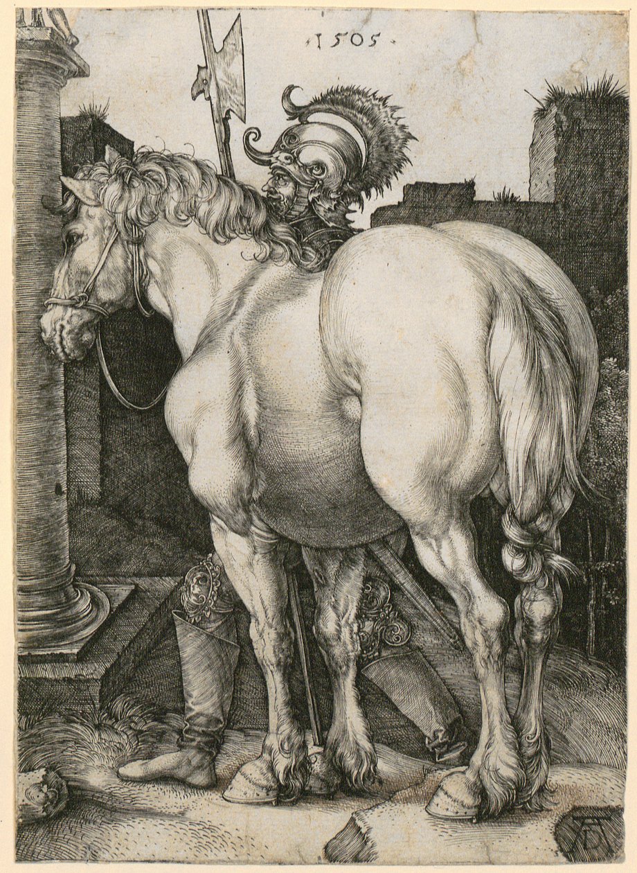 The Large Horse by Albrecht Dürer