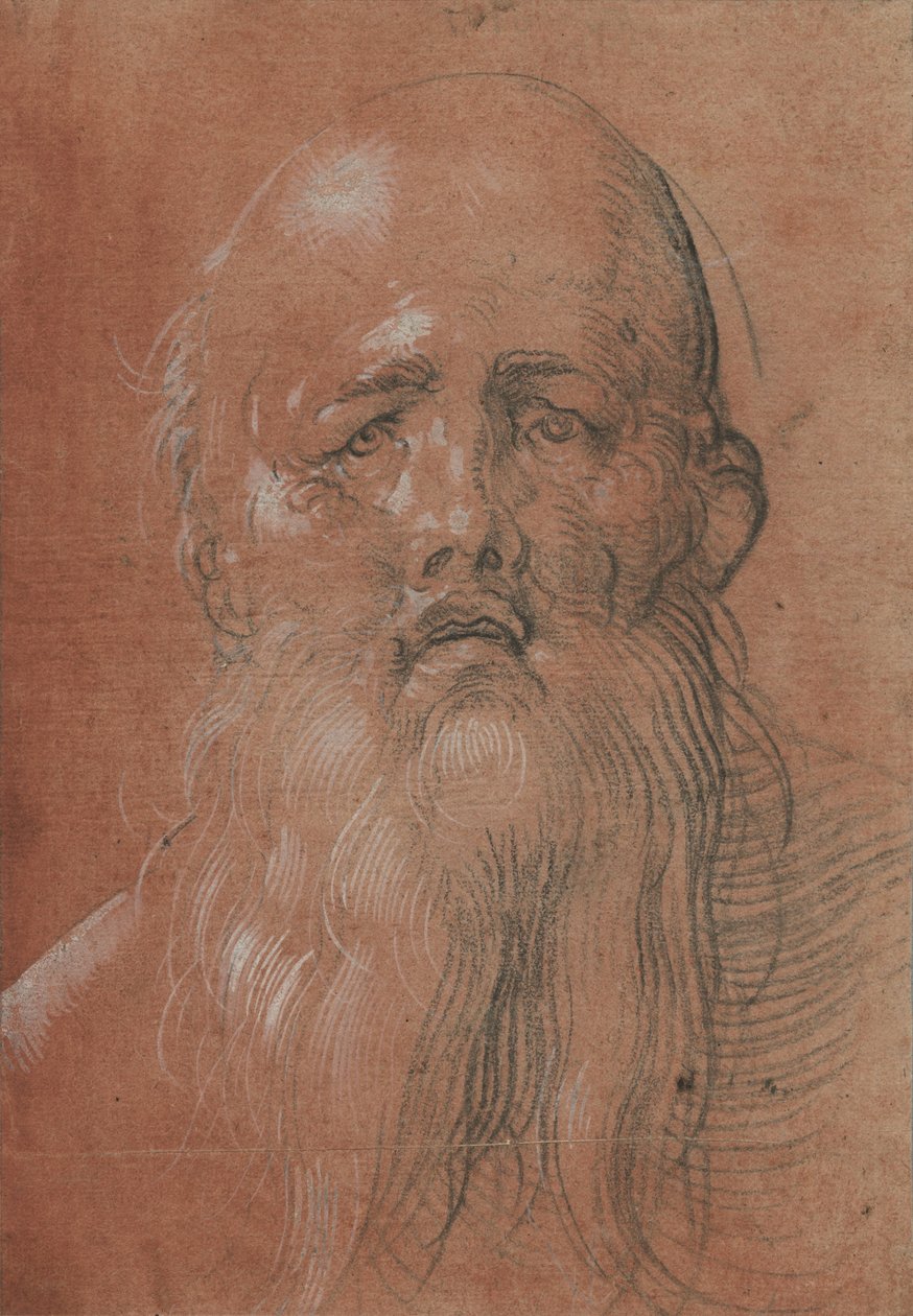 Head of a Bearded Man by Albrecht Dürer