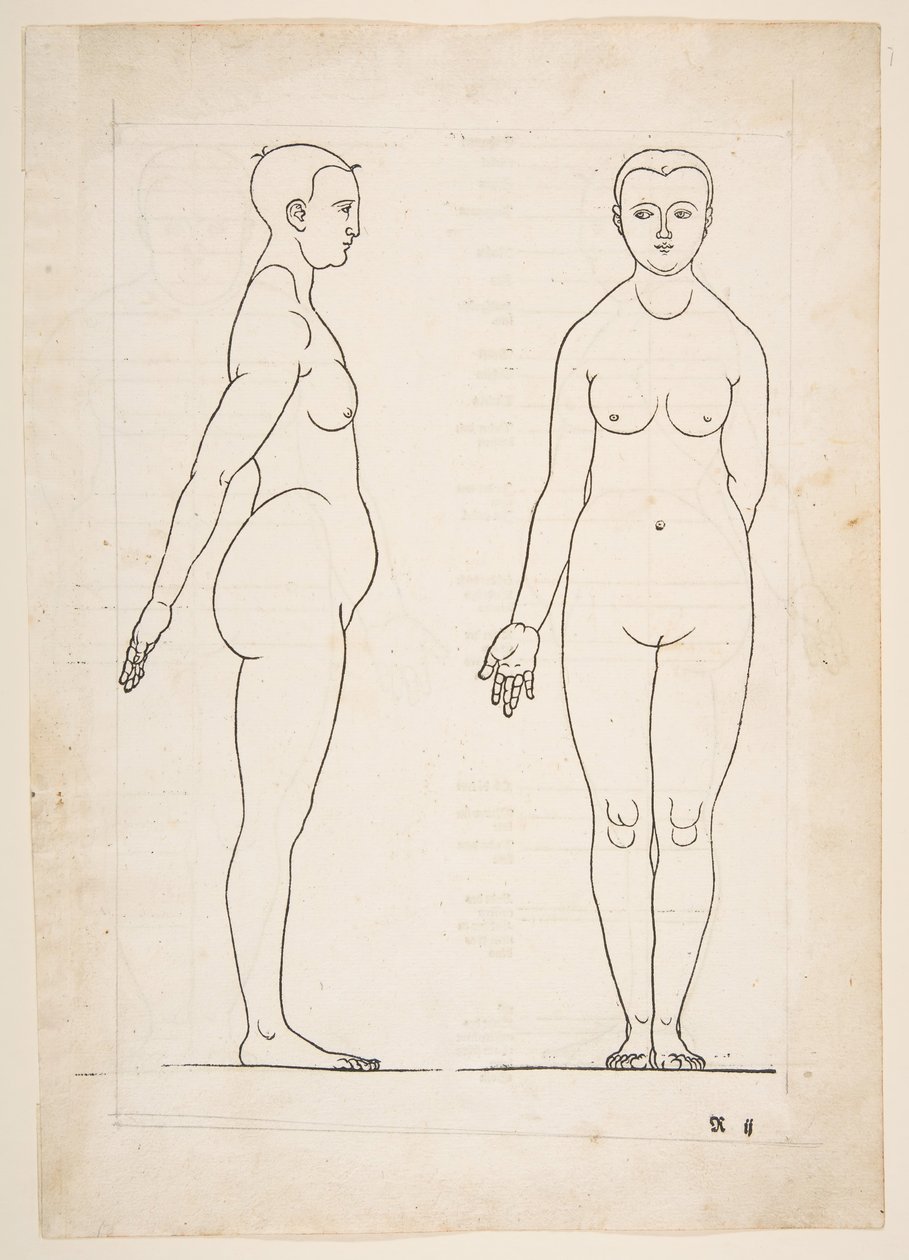 Illustration from Dürer