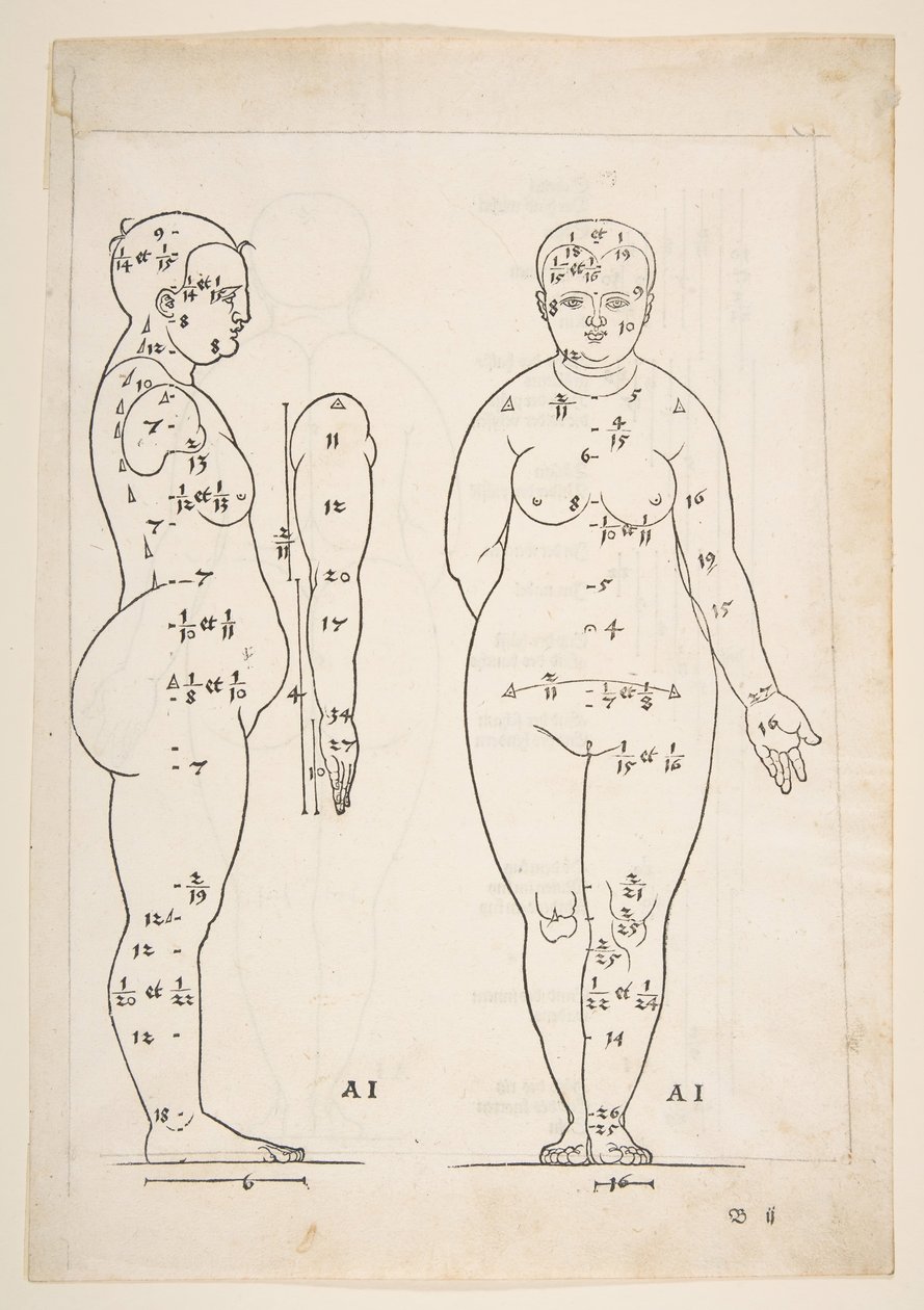 Illustration from Dürer
