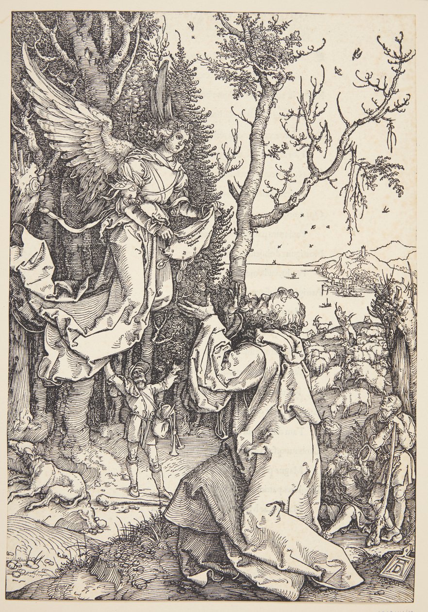 Joachim and the Angel by Albrecht Dürer