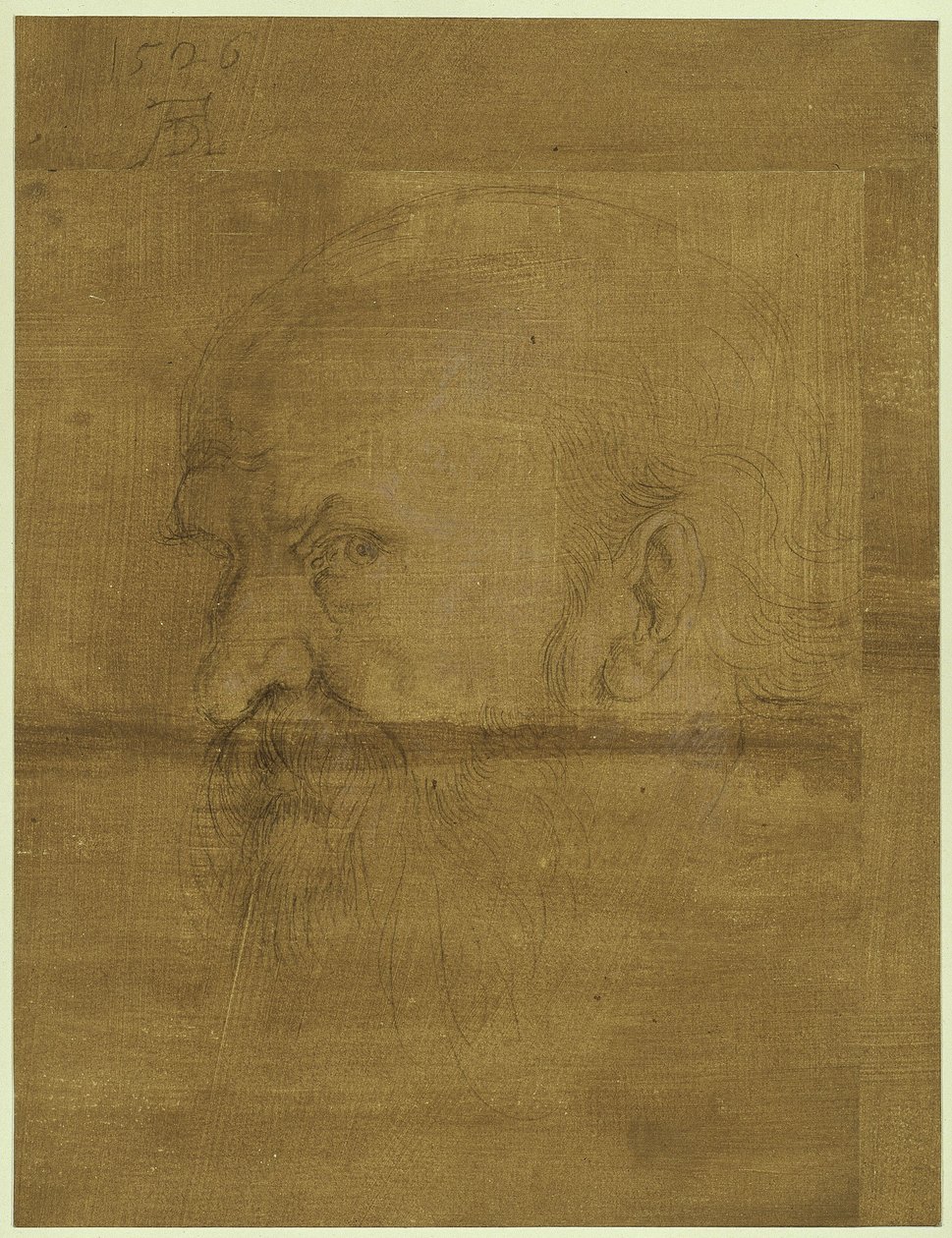 Head of the Apostle Paul by Albrecht Dürer