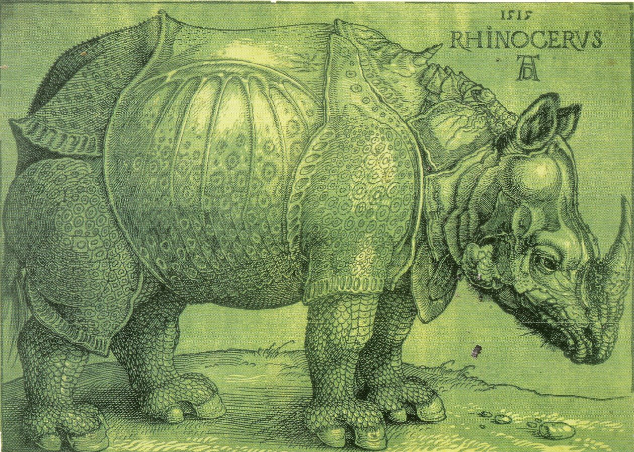 The Rhinoceros by Albrecht Dürer