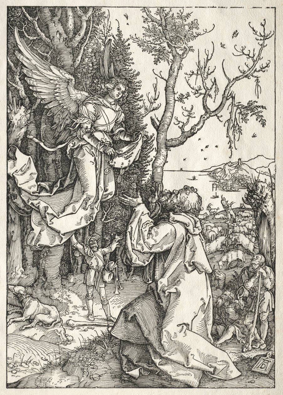 Life of the Virgin: Joachim and the Angel, c. 1504 by Albrecht Dürer
