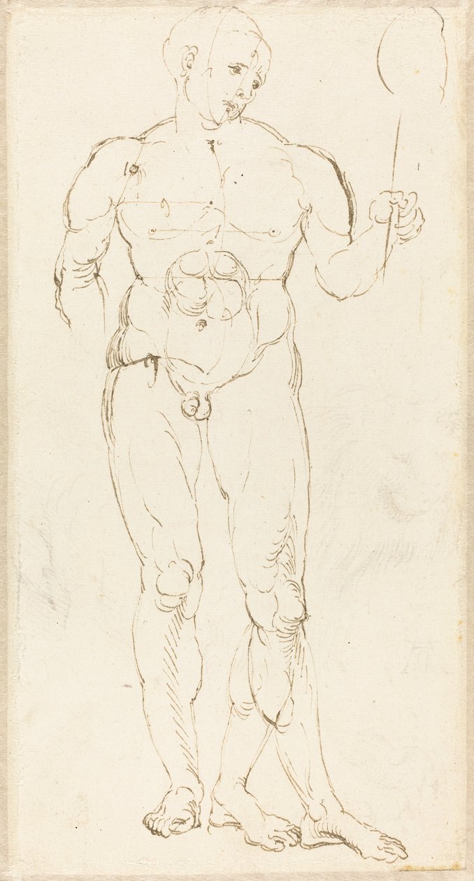 Male Nude Holding a Mirror by Albrecht Dürer