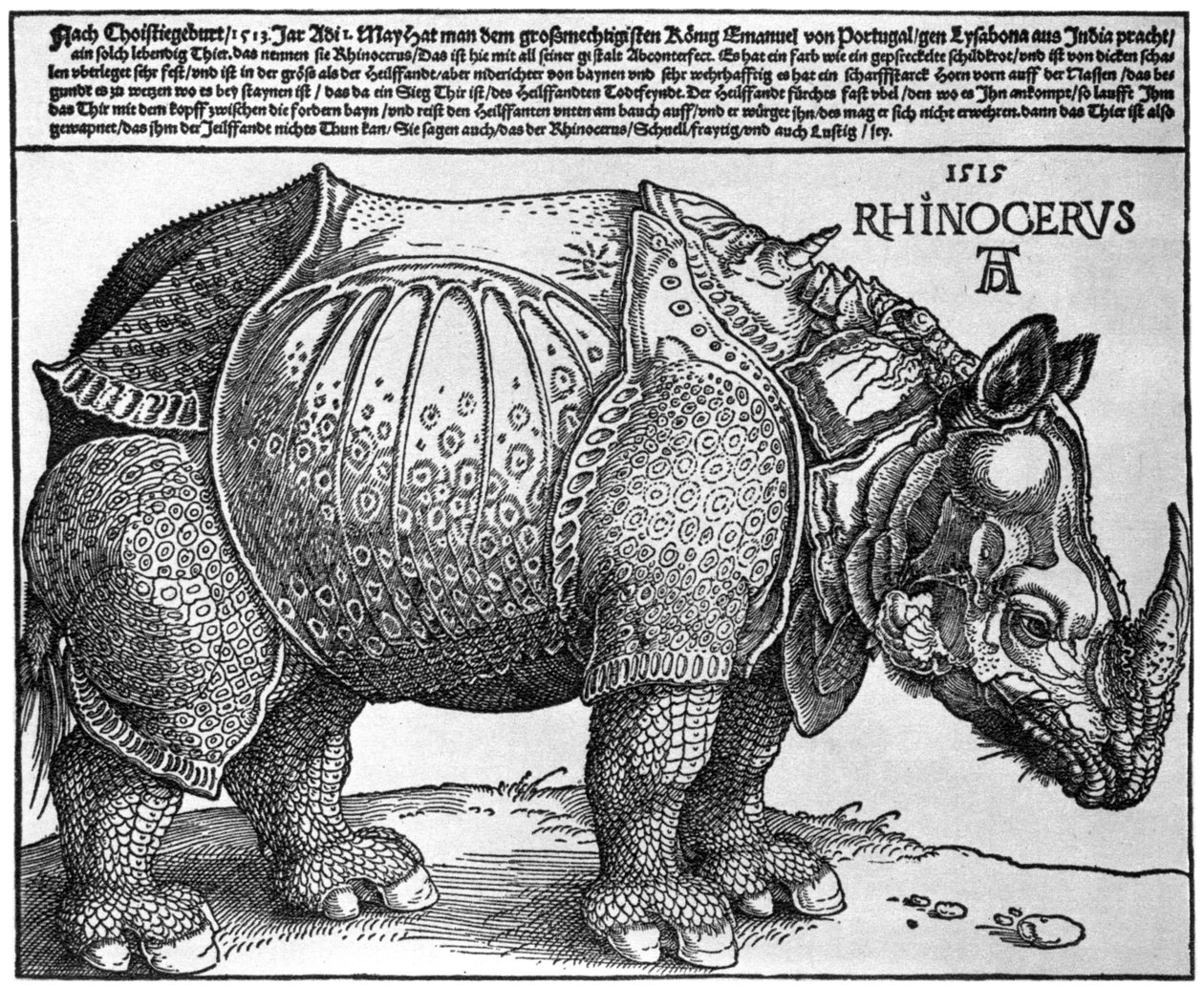 Rhinoceros, print given to Maximilian I by the King of Lisbon by Albrecht Dürer