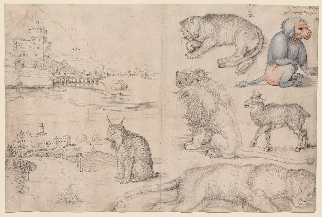 Sketches of Animals and Landscapes by Albrecht Dürer