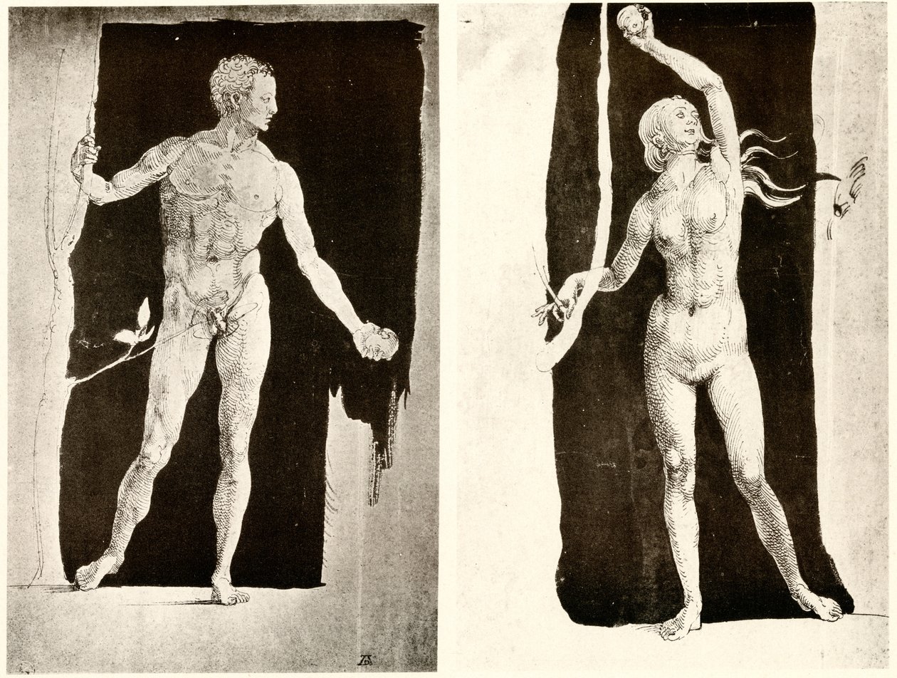 Studies on Adam and Eve by Albrecht Dürer