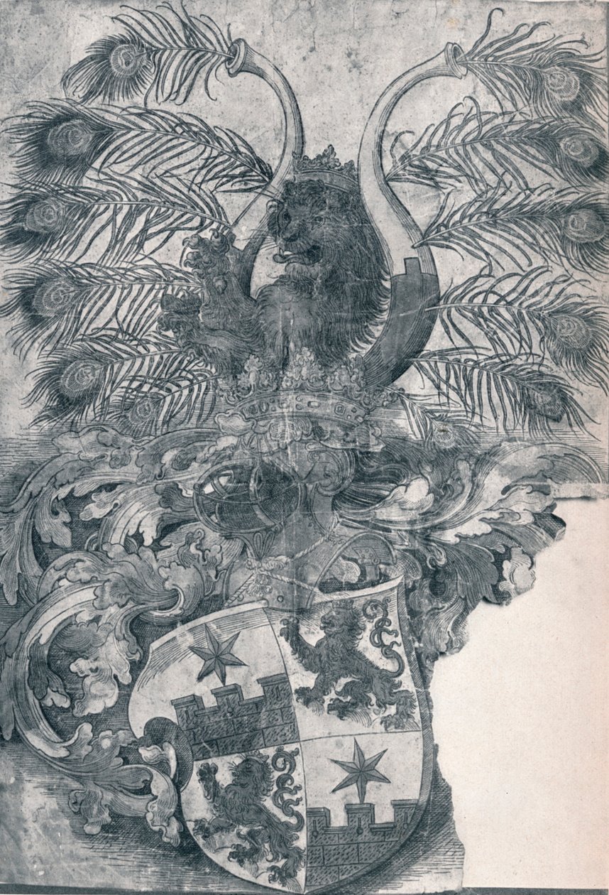 The Coat of Arms of Wilhelm and Wolfgang Roggendorff by Albrecht Dürer