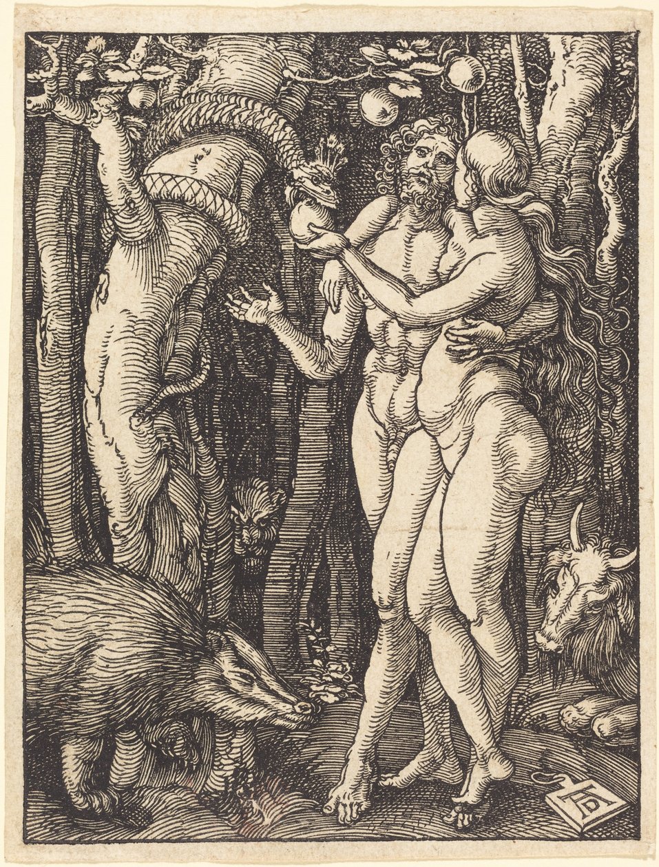 The Fall of Man by Albrecht Dürer