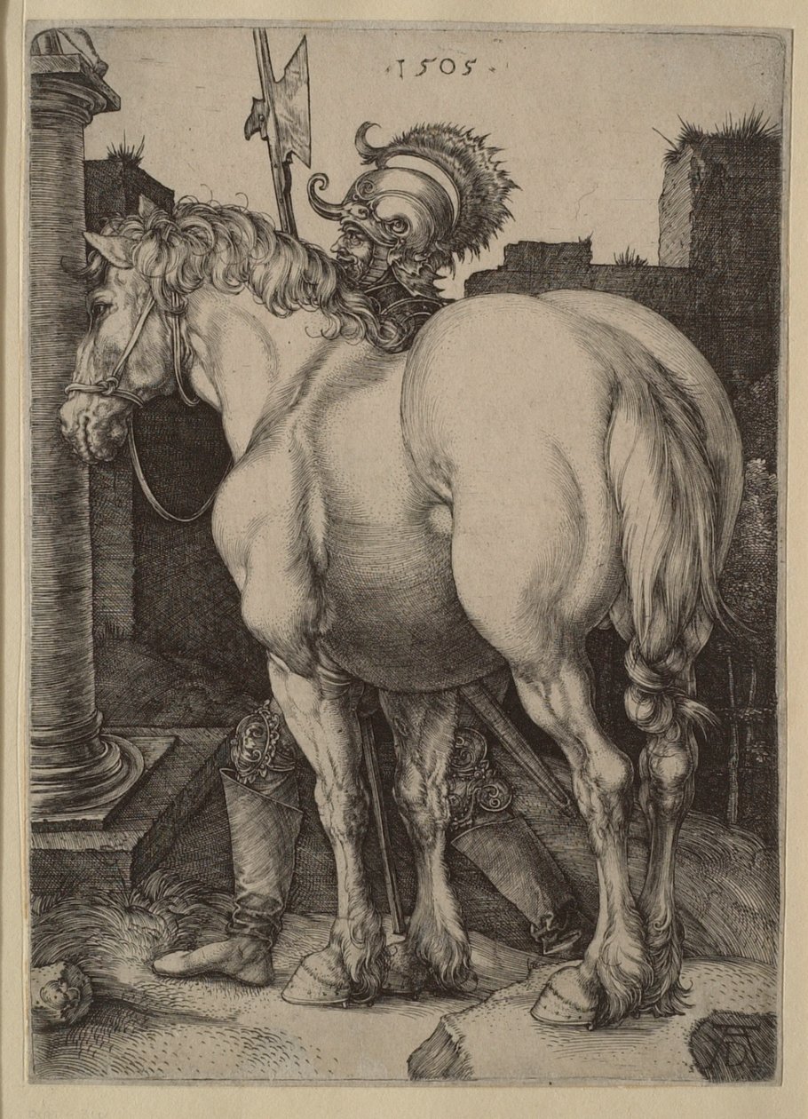 The Large Horse by Albrecht Dürer