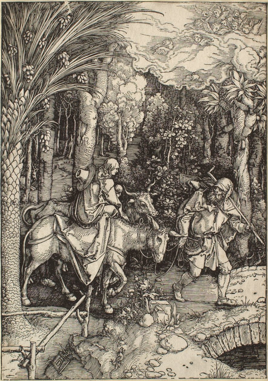 The Life of the Virgin: The Flight into Egypt by Albrecht Dürer