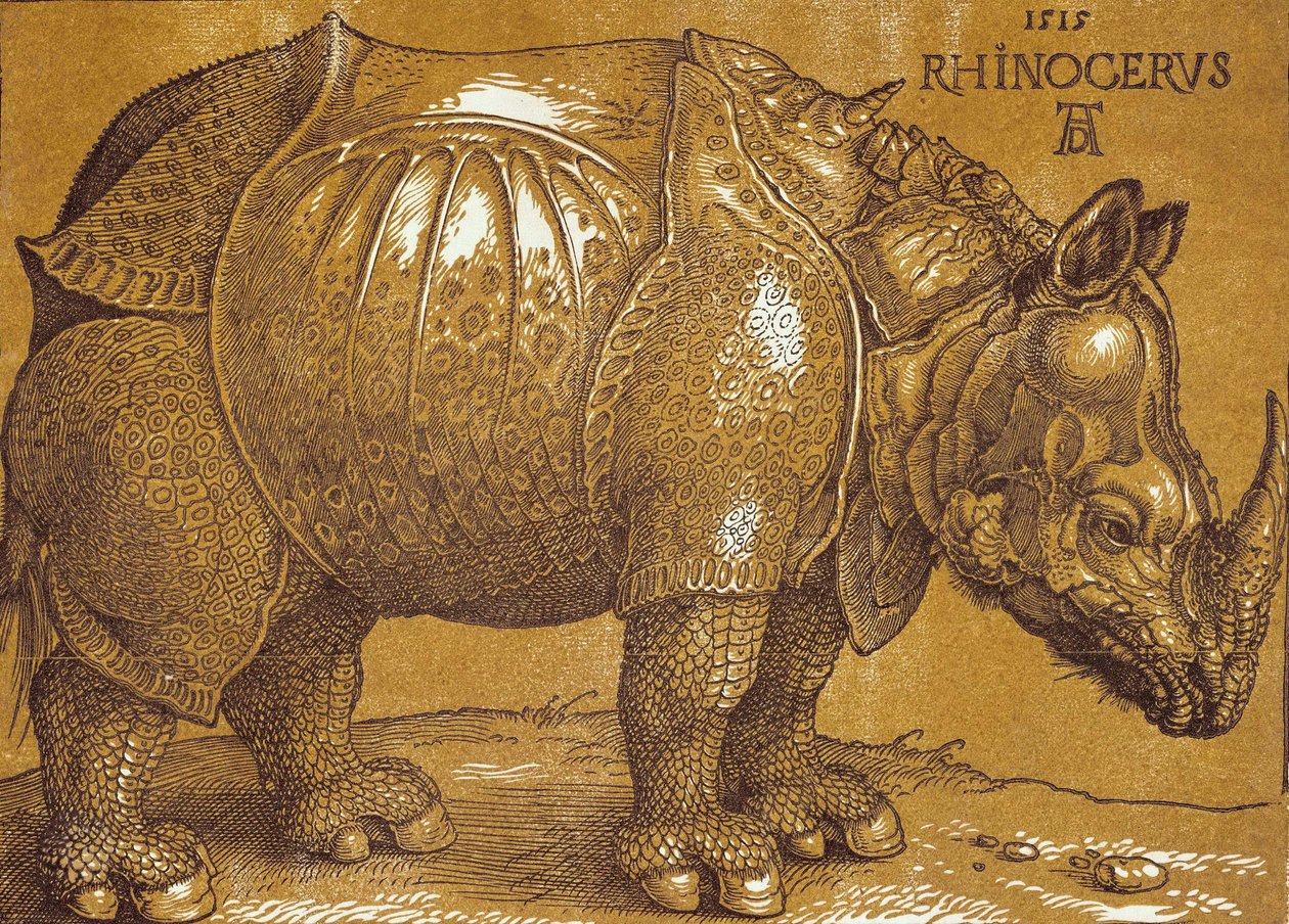 The Rhinoceros by Albrecht Dürer