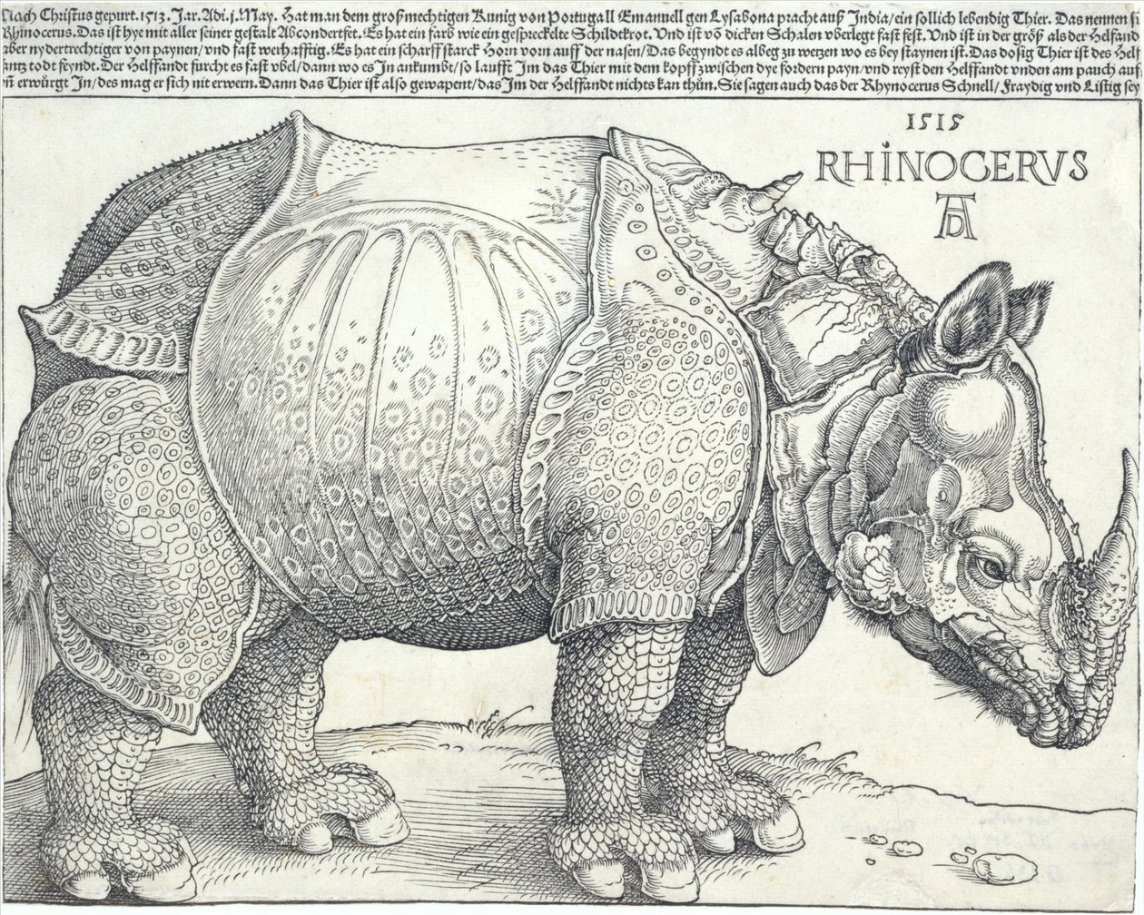 The Rhinoceros, 1515 by Albrecht Dürer