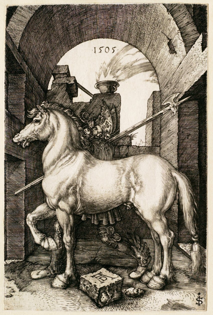 The Small Horse by Albrecht Dürer