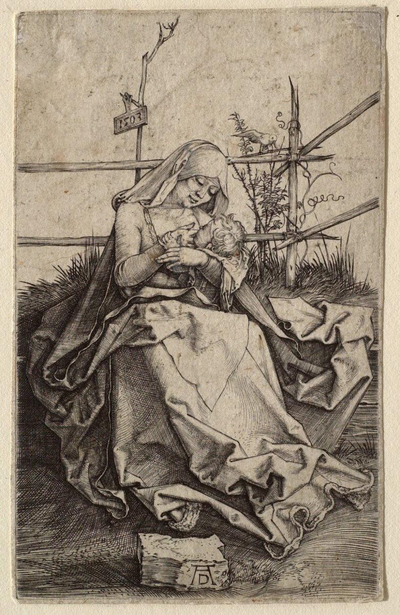 The Virgin and Child on a Grassy Bank by Albrecht Dürer