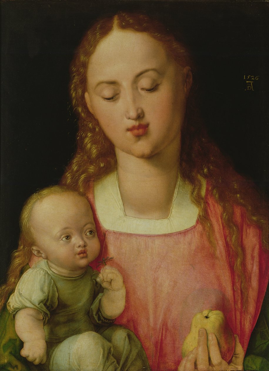 Virgin and Child, also known as Virgin with the Pear by Albrecht Dürer