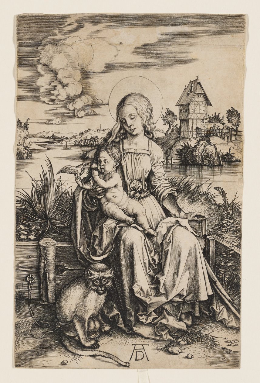 Virgin and Child with the Monkey by Albrecht Dürer