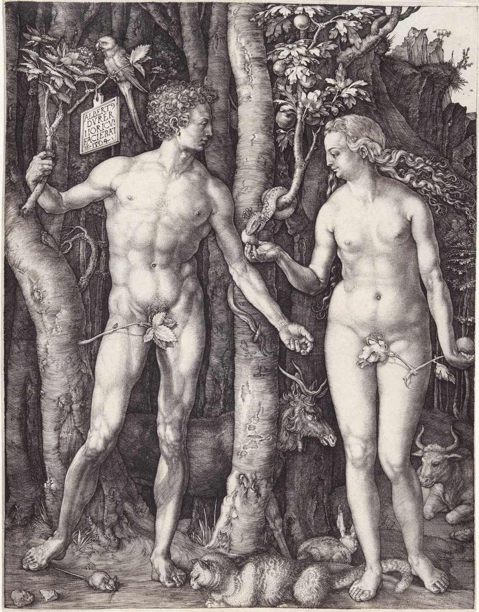 Adam and Eve by Albrecht Dürer