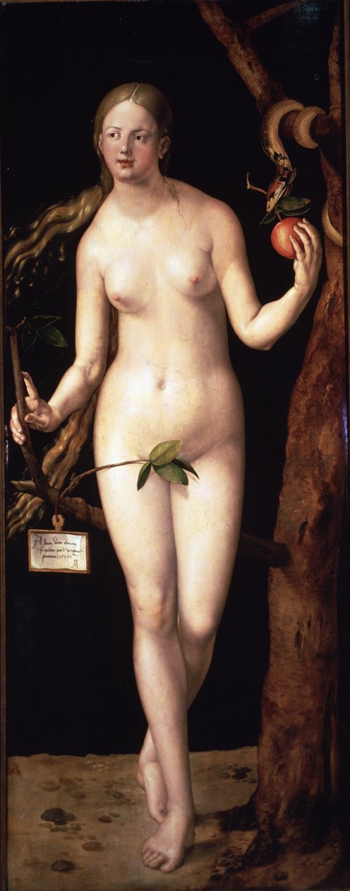 Eva by Albrecht Dürer or Duerer