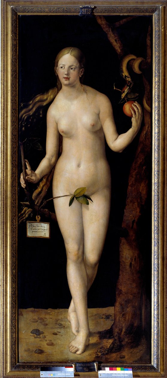 Eve by Albrecht Dürer