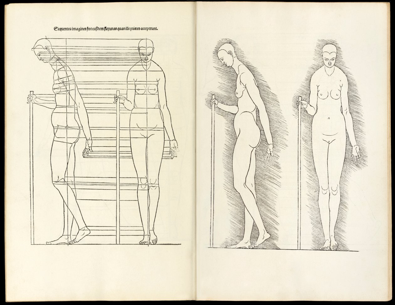 Female with staff, anatomical woodcut from Hierinn sind begriffen vier Bücher von menschlicher Proportion, 1528 by Albrecht Dürer
