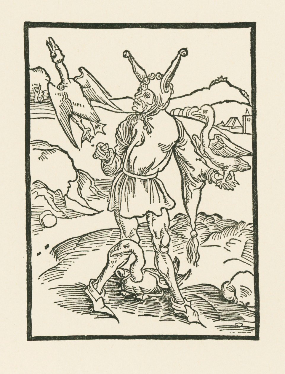 Fool as Wise by Albrecht Dürer or Duerer