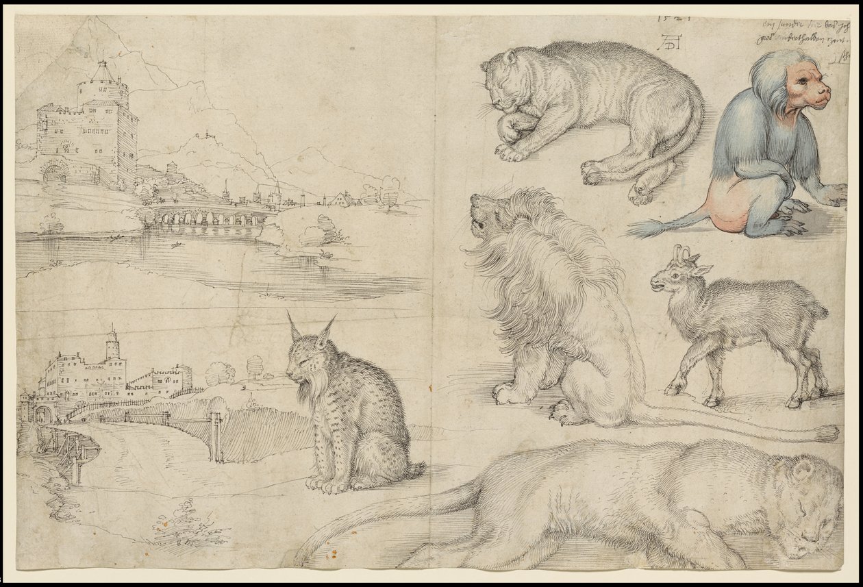 Sketches of Animals and Landscapes, 1521 by Albrecht Dürer
